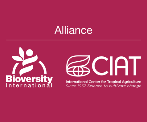 Logo Alliance Bioversity et CIAT